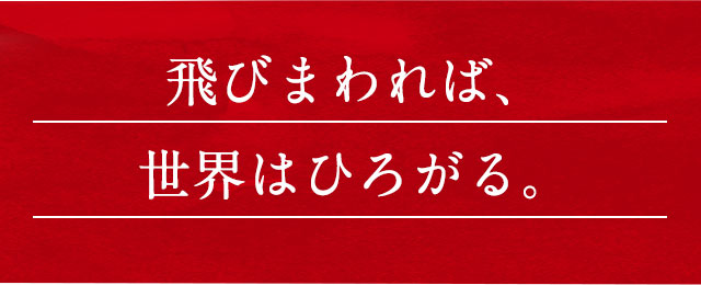 飛び回れば世界はひろがる