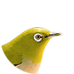 キャラクター画像