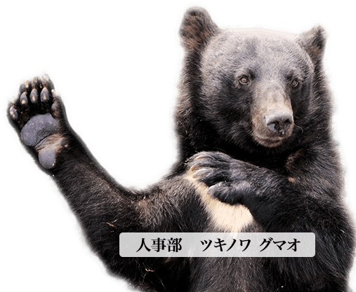 クマ