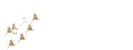 先輩社員の1日