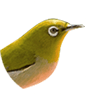 キャラクター画像
