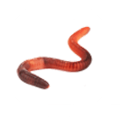 キャラクター画像