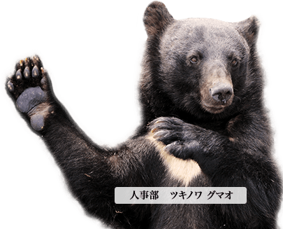 クマ