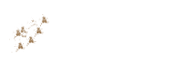 先輩社員の1日
