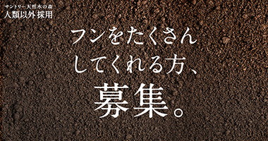 サントリー2016新卒採用