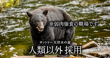 サントリー2016新卒採用