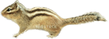 リス