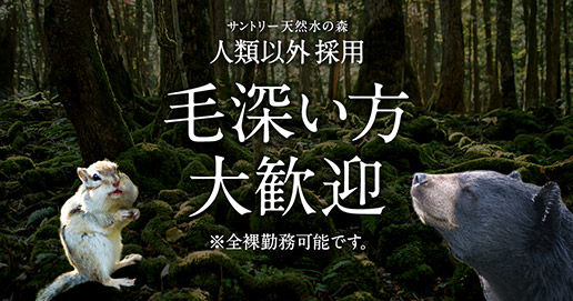 サントリー2016新卒採用